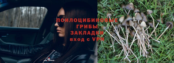 2c-b Балабаново