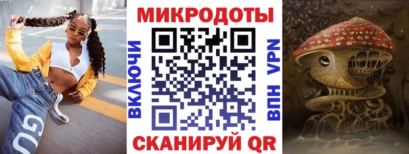Галлюциногенные грибы Psilocybe  продажа наркотиков  Трубчевск 